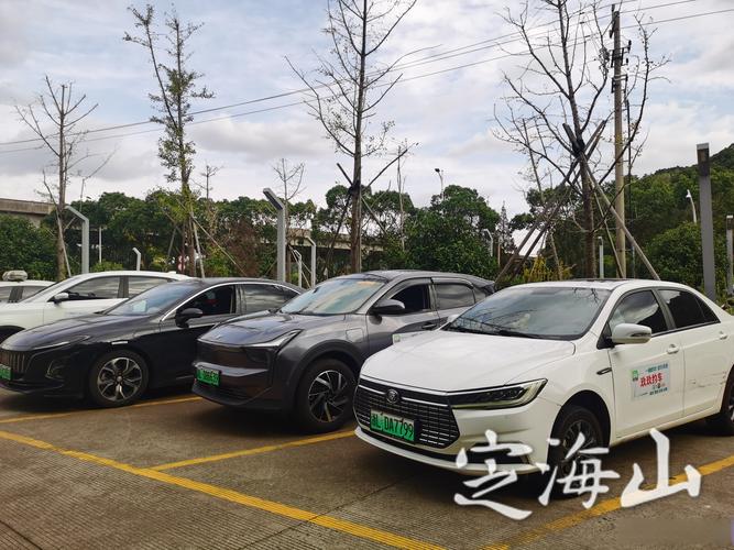 金塘投运10辆新能源网约车，补齐当地出租车与网约车经营短板